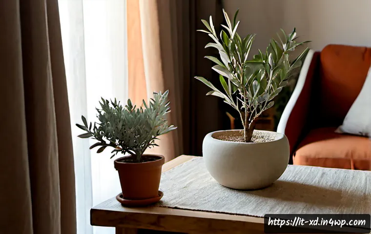 Home 11 마인드풀 홈 디자인을 위한 DIY 프로젝트 - Photorealistic Italian apartment living room during a mindful DIY home design project, a calm middle...
