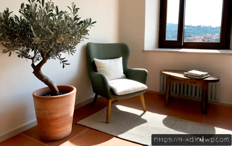 마인드풀 디자인으로 찾는 진정한 휴식 공간 - Photorealistic mindful interior design in a serene Italian apartment, sunlit reading corner with a l...